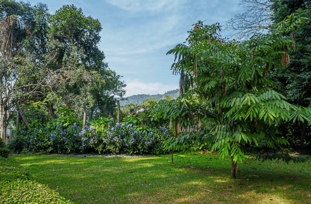 Il giardino botanico reale di Peradeniya