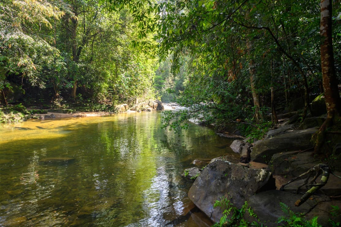 La riserva naturale di Sinharâja